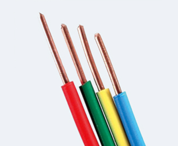 安顺ZCBV-1X2.5